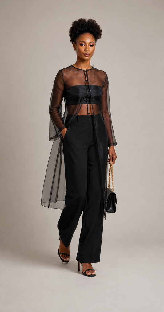 Sheer Organza Midi Dress – Black