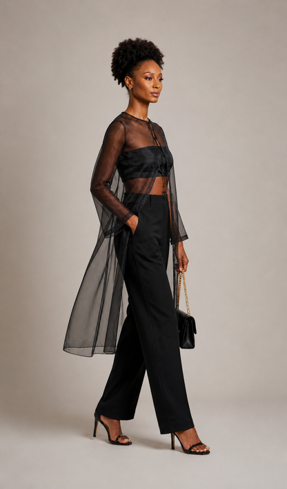 Sheer Organza Midi Dress – Black